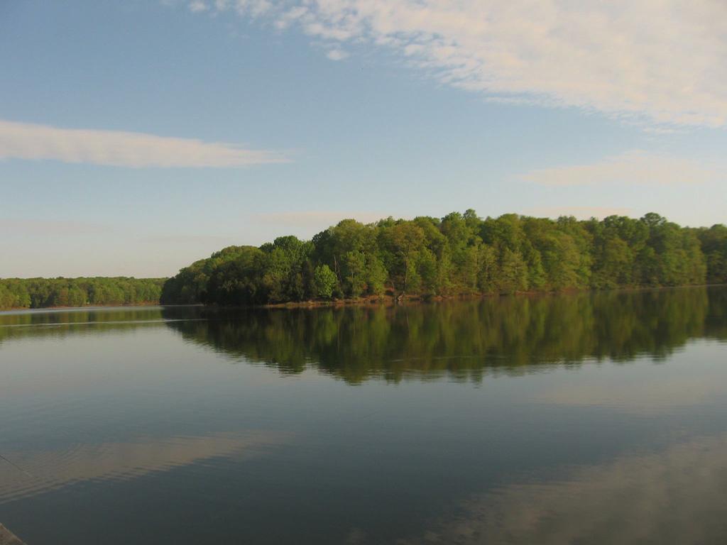 Lake Frederick Bait & Tackle White Post VA 22663 5408691104